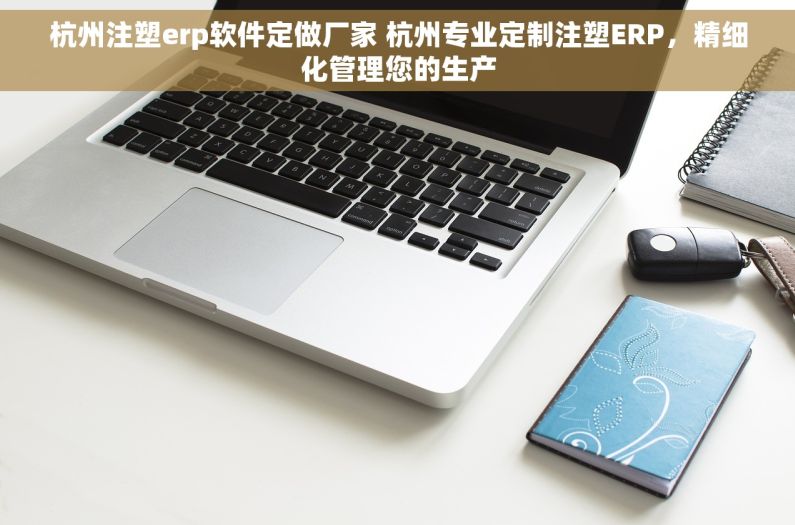 杭州注塑erp软件定做厂家 杭州专业定制注塑ERP，精细化管理您的生产