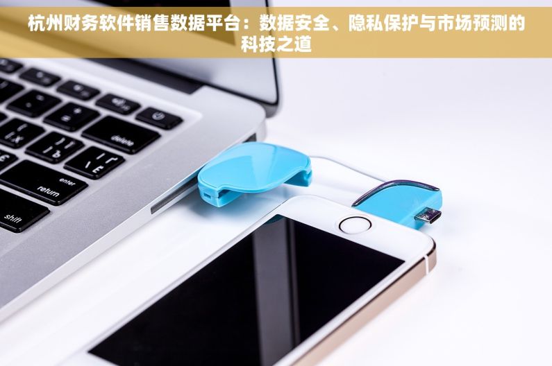 杭州财务软件销售数据平台：数据安全、隐私保护与市场预测的科技之道