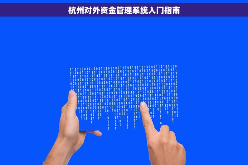 杭州对外资金管理系统入门指南