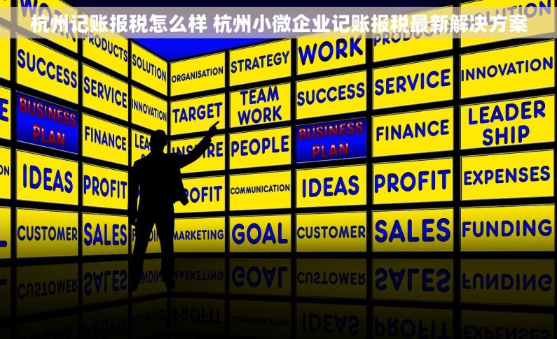 杭州记账报税怎么样 杭州小微企业记账报税最新解决方案
