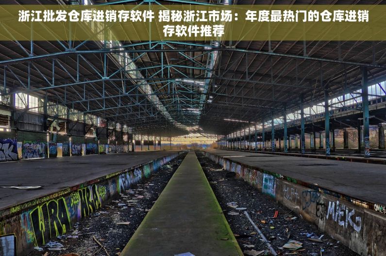 浙江批发仓库进销存软件 揭秘浙江市场：年度最热门的仓库进销存软件推荐