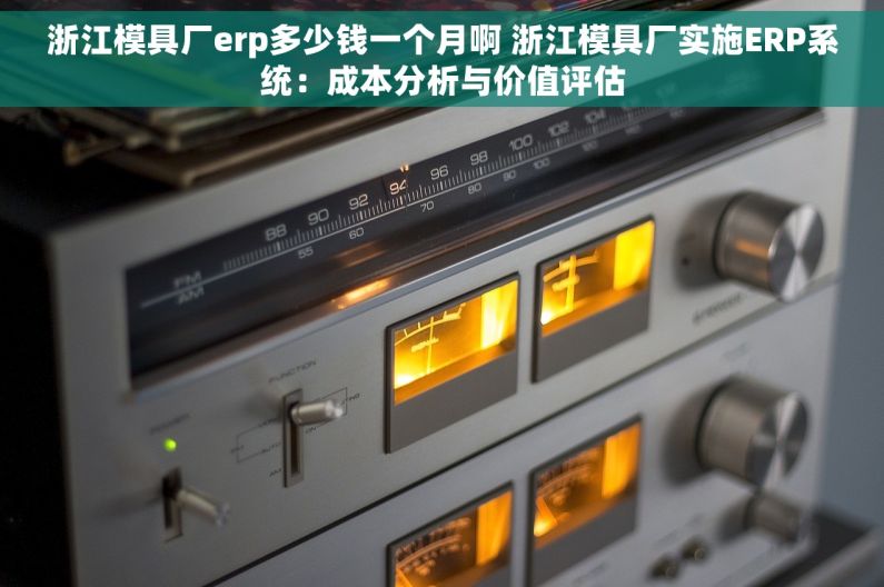 浙江模具厂erp多少钱一个月啊 浙江模具厂实施ERP系统：成本分析与价值评估