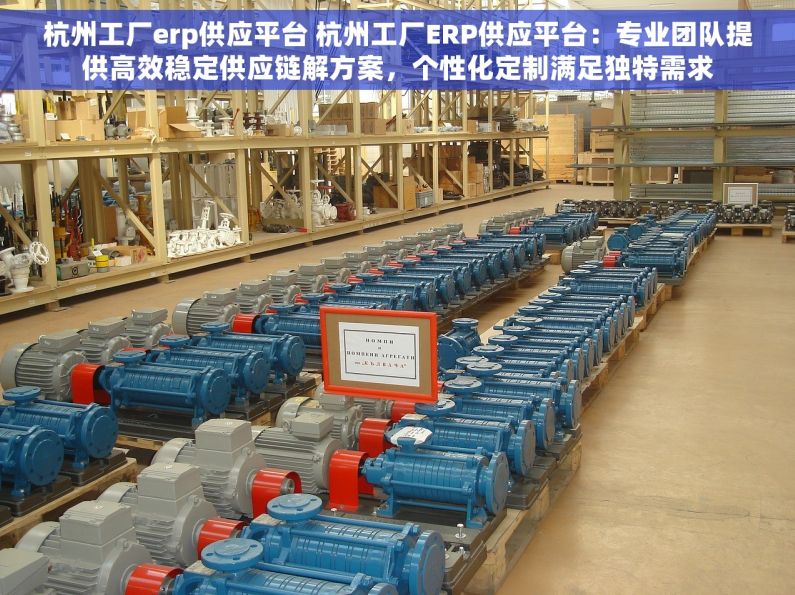 杭州工厂erp供应平台 杭州工厂ERP供应平台：专业团队提供高效稳定供应链解方案，个性化定制满足独特需求