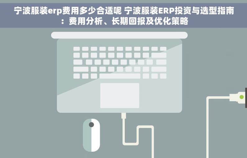 宁波服装erp费用多少合适呢 宁波服装ERP投资与选型指南：费用分析、长期回报及优化策略