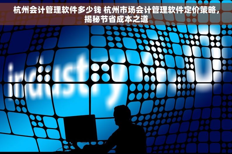 杭州会计管理软件多少钱 杭州市场会计管理软件定价策略，揭秘节省成本之道