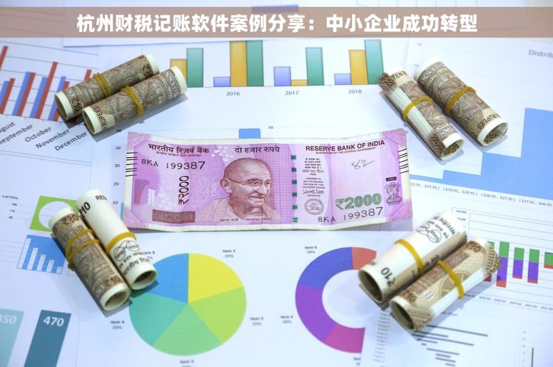 杭州财税记账软件案例分享：中小企业成功转型
