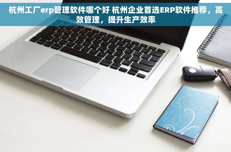 杭州工厂erp管理软件哪个好 杭州企业首选ERP软件推荐，高效管理，提升生产效率