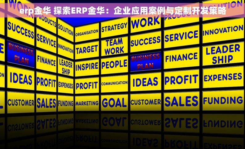 erp金华 探索ERP金华：企业应用案例与定制开发策略