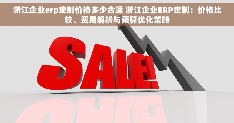 浙江企业erp定制价格多少合适 浙江企业ERP定制：价格比较、费用解析与预算优化策略