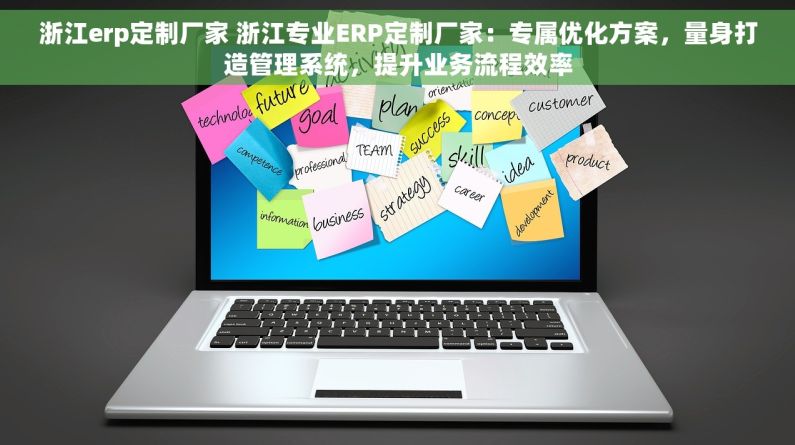 浙江erp定制厂家 浙江专业ERP定制厂家：专属优化方案，量身打造管理系统，提升业务流程效率