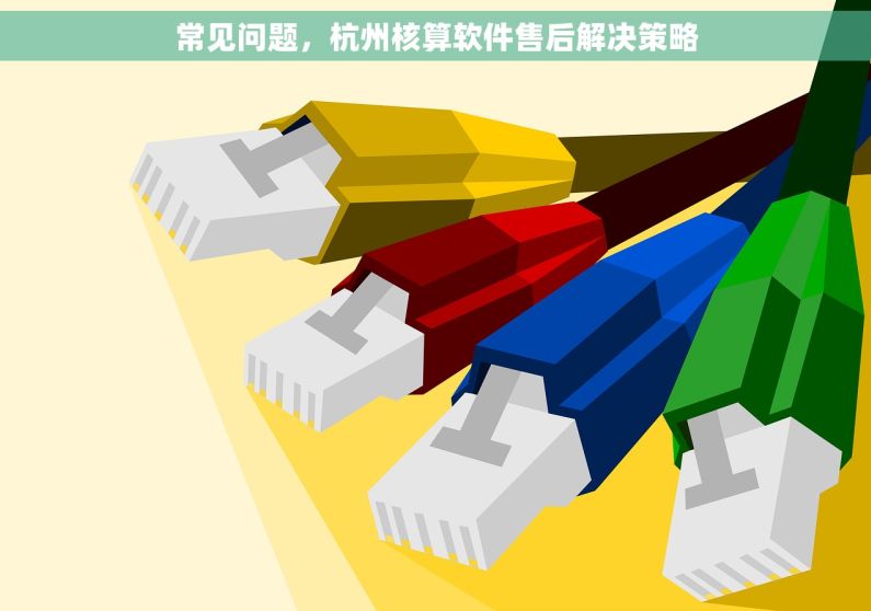常见问题，杭州核算软件售后解决策略