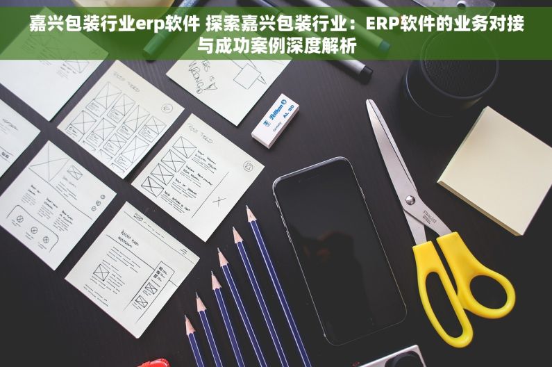 嘉兴包装行业erp软件 探索嘉兴包装行业：ERP软件的业务对接与成功案例深度解析