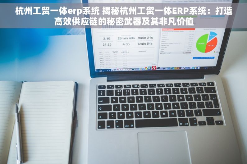 杭州工贸一体erp系统 揭秘杭州工贸一体ERP系统：打造高效供应链的秘密武器及其非凡价值