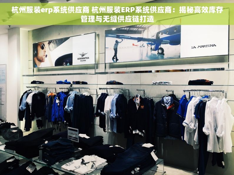 杭州服装erp系统供应商 杭州服装ERP系统供应商：揭秘高效库存管理与无缝供应链打造