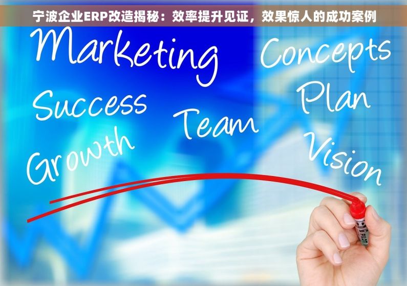 宁波企业ERP改造揭秘：效率提升见证，效果惊人的成功案例