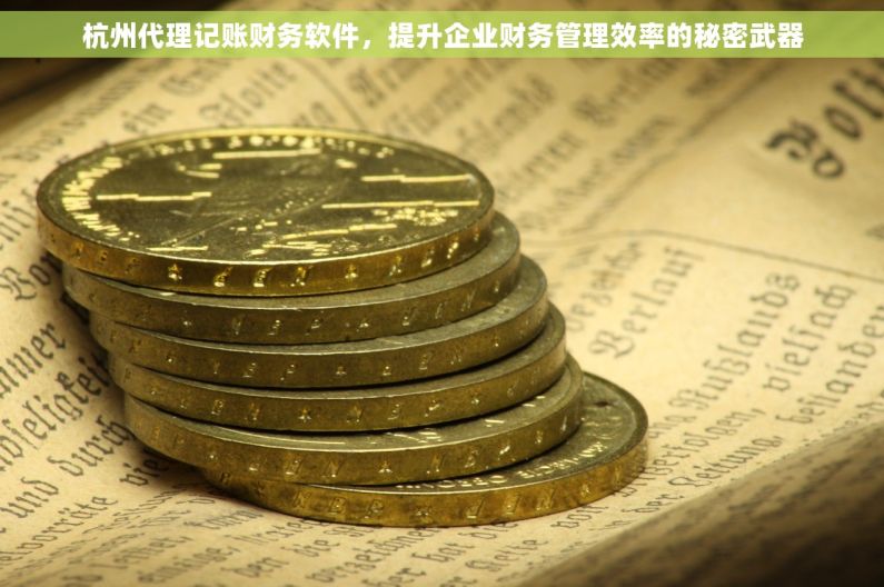 杭州代理记账财务软件，提升企业财务管理效率的秘密武器