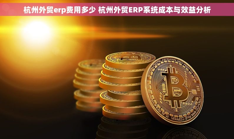 杭州外贸erp费用多少 杭州外贸ERP系统成本与效益分析