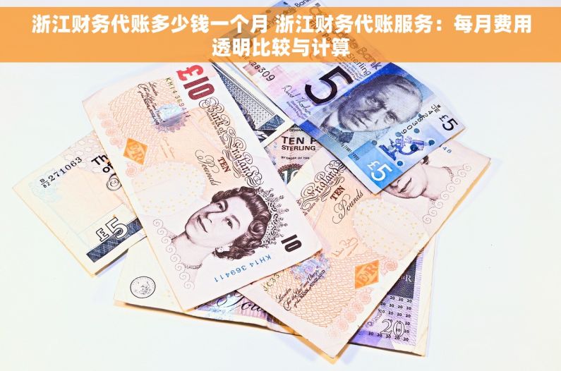 浙江财务代账多少钱一个月 浙江财务代账服务：每月费用透明比较与计算