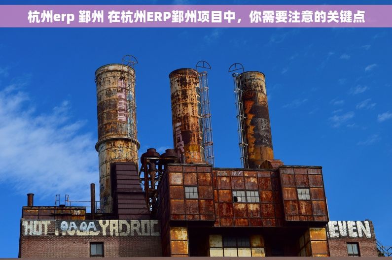 杭州erp 鄞州 在杭州ERP鄞州项目中，你需要注意的关键点