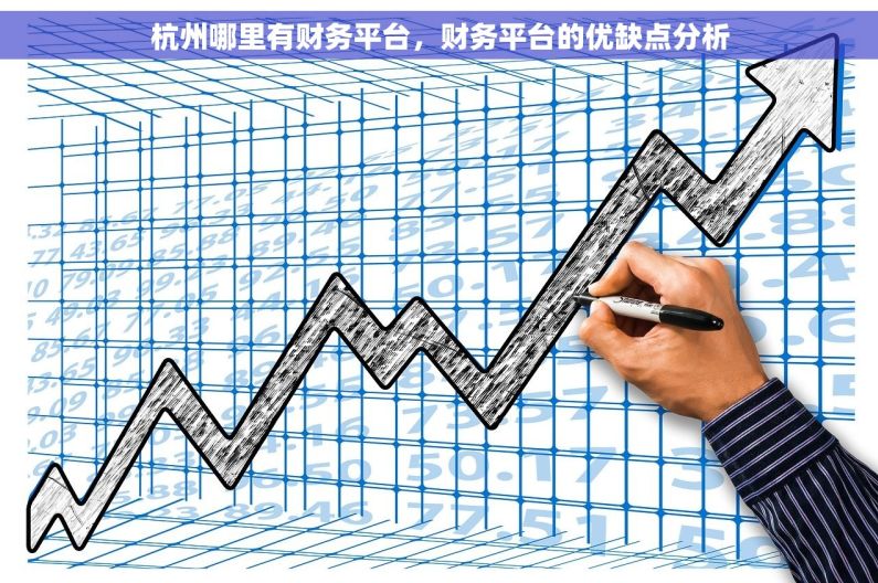 杭州哪里有财务平台，财务平台的优缺点分析