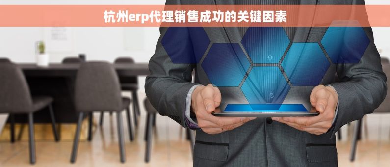 杭州erp代理销售成功的关键因素