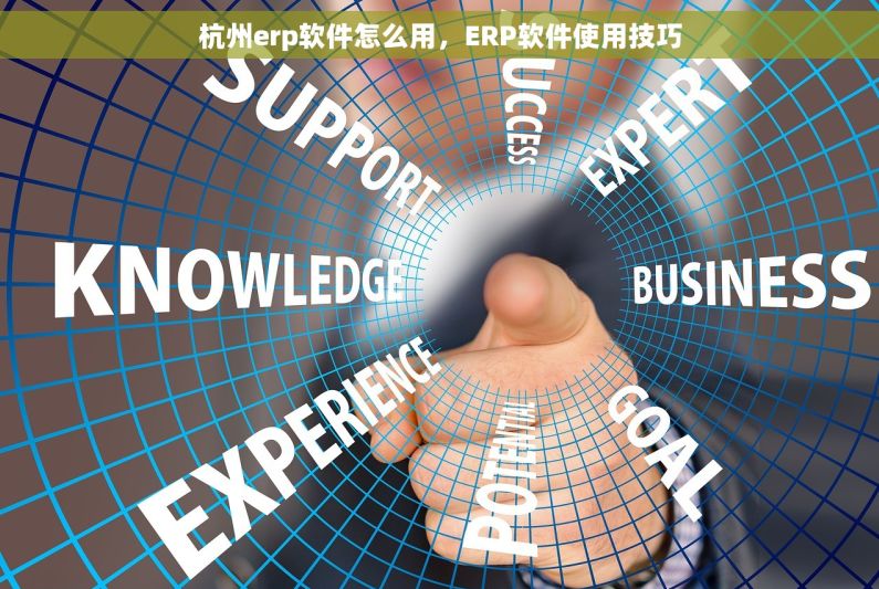 杭州erp软件怎么用，ERP软件使用技巧