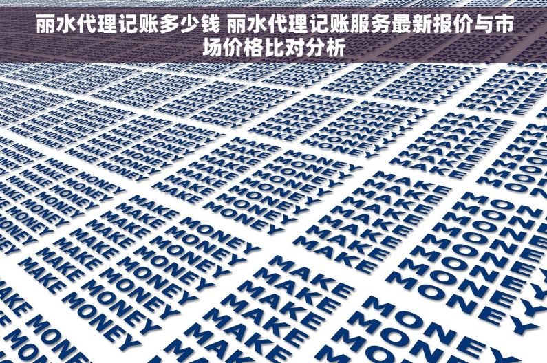 丽水代理记账多少钱 丽水代理记账服务最新报价与市场价格比对分析
