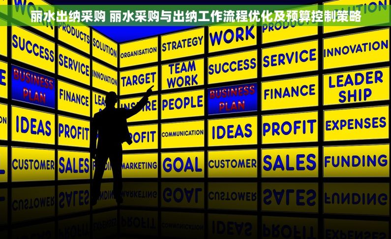 丽水出纳采购 丽水采购与出纳工作流程优化及预算控制策略