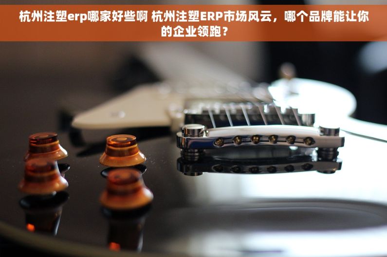 杭州注塑erp哪家好些啊 杭州注塑ERP市场风云，哪个品牌能让你的企业领跑？