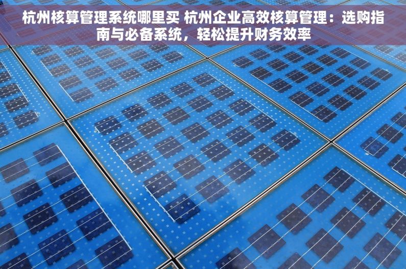 杭州核算管理系统哪里买 杭州企业高效核算管理：选购指南与必备系统，轻松提升财务效率
