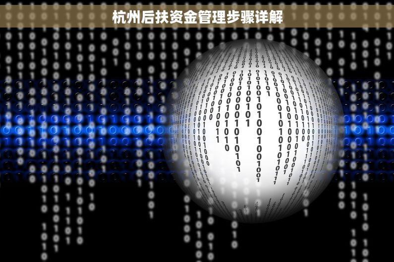 杭州后扶资金管理步骤详解