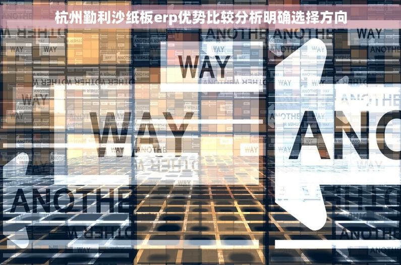 杭州勤利沙纸板erp优势比较分析明确选择方向