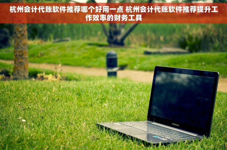 杭州会计代账软件推荐哪个好用一点 杭州会计代账软件推荐提升工作效率的财务工具