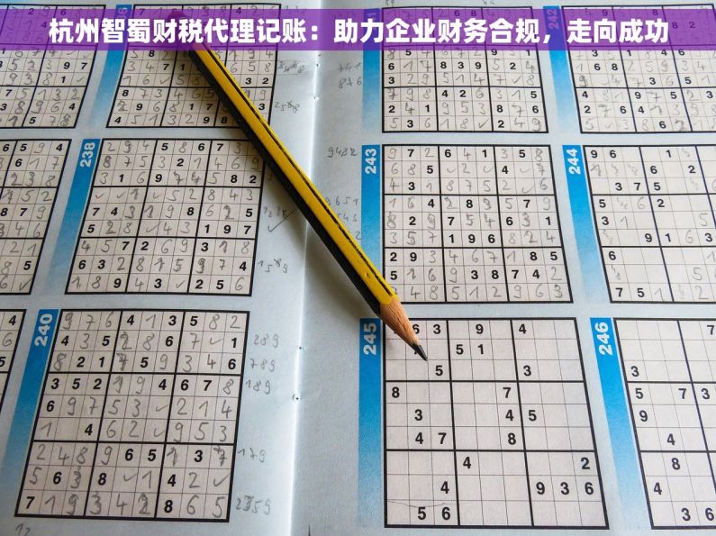 杭州智蜀财税代理记账：助力企业财务合规，走向成功