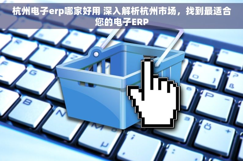 杭州电子erp哪家好用 深入解析杭州市场，找到最适合您的电子ERP