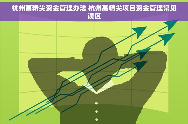 杭州高精尖资金管理办法 杭州高精尖项目资金管理常见误区