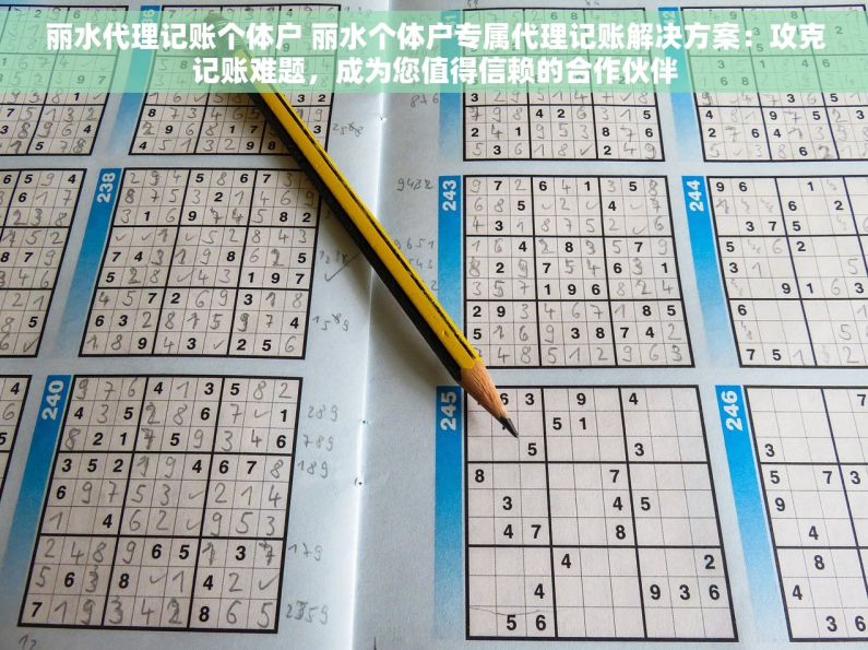 丽水代理记账个体户 丽水个体户专属代理记账解决方案：攻克记账难题，成为您值得信赖的合作伙伴