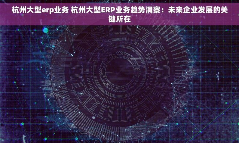 杭州大型erp业务 杭州大型ERP业务趋势洞察：未来企业发展的关键所在