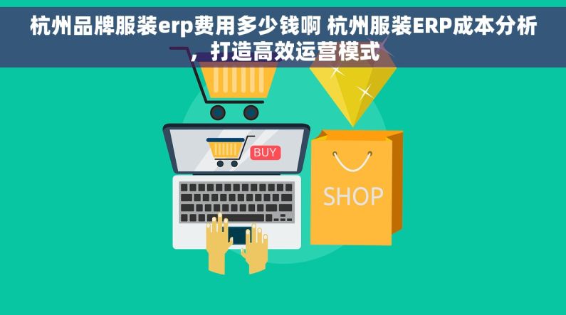 杭州品牌服装erp费用多少钱啊 杭州服装ERP成本分析，打造高效运营模式