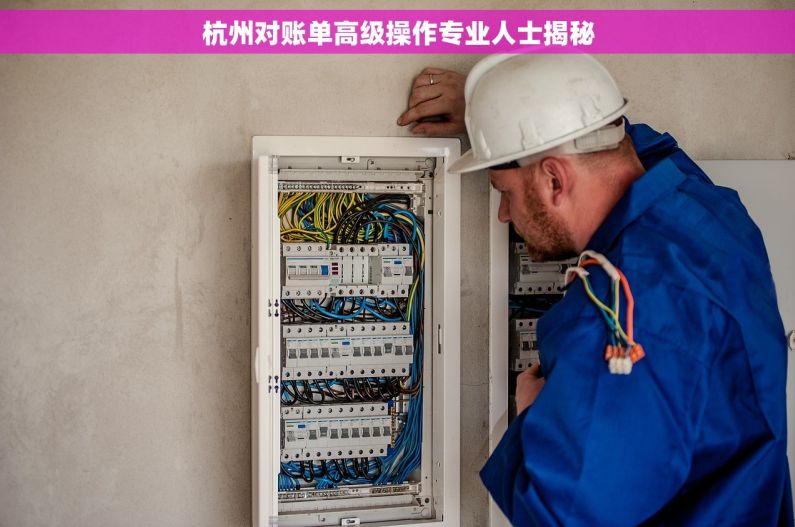 杭州对账单高级操作专业人士揭秘