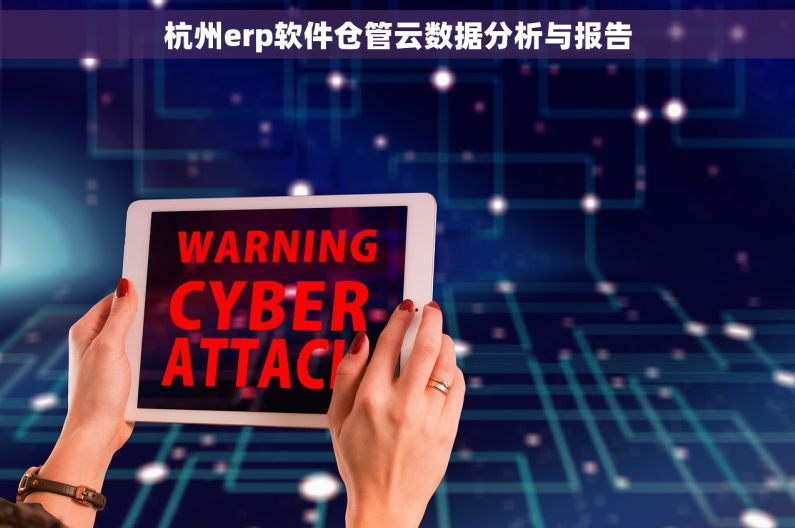 杭州erp软件仓管云数据分析与报告