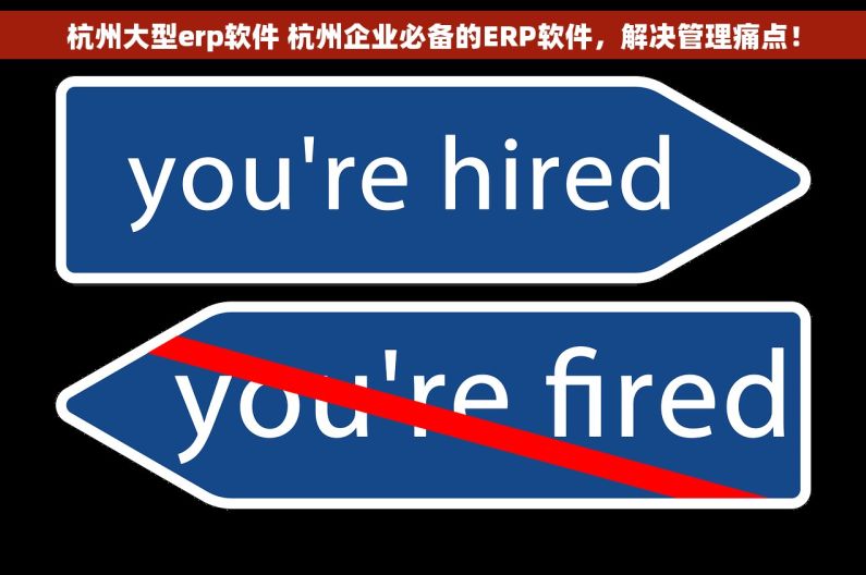 杭州大型erp软件 杭州企业必备的ERP软件，解决管理痛点！