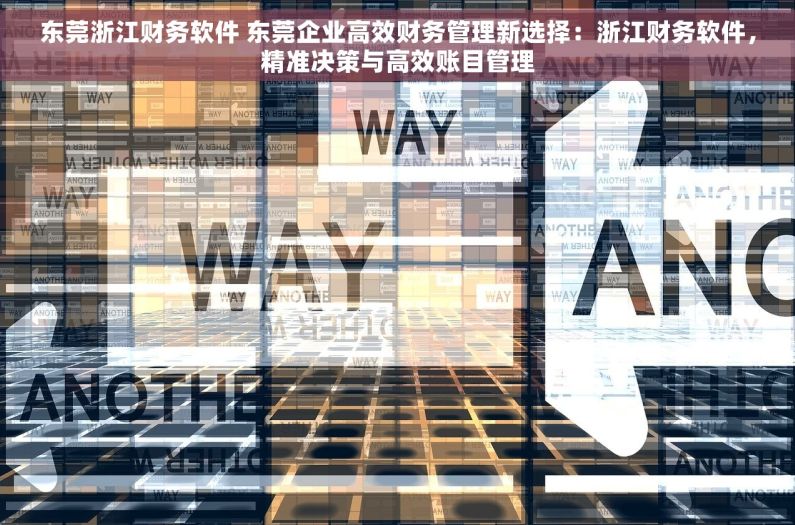 东莞浙江财务软件 东莞企业高效财务管理新选择：浙江财务软件，精准决策与高效账目管理