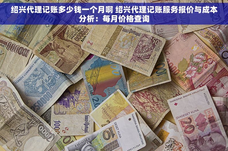 绍兴代理记账多少钱一个月啊 绍兴代理记账服务报价与成本分析：每月价格查询