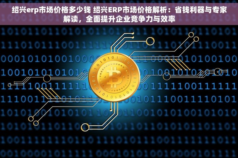 绍兴erp市场价格多少钱 绍兴ERP市场价格解析：省钱利器与专家解读，全面提升企业竞争力与效率