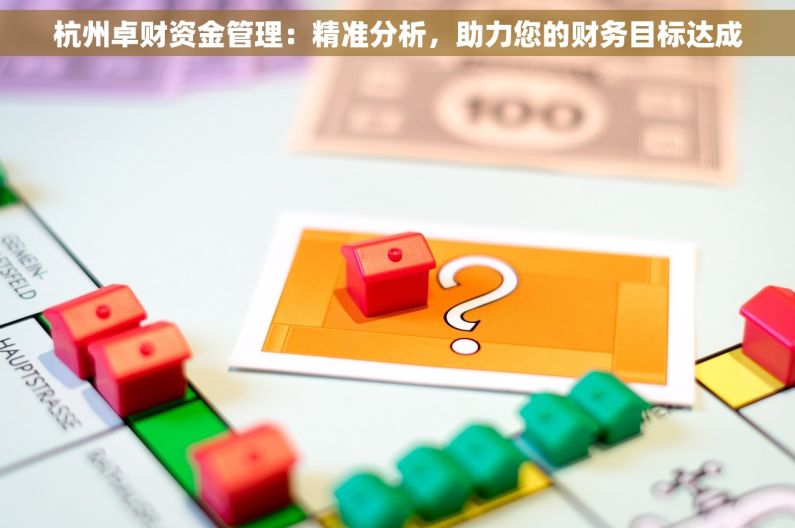 杭州卓财资金管理：精准分析，助力您的财务目标达成