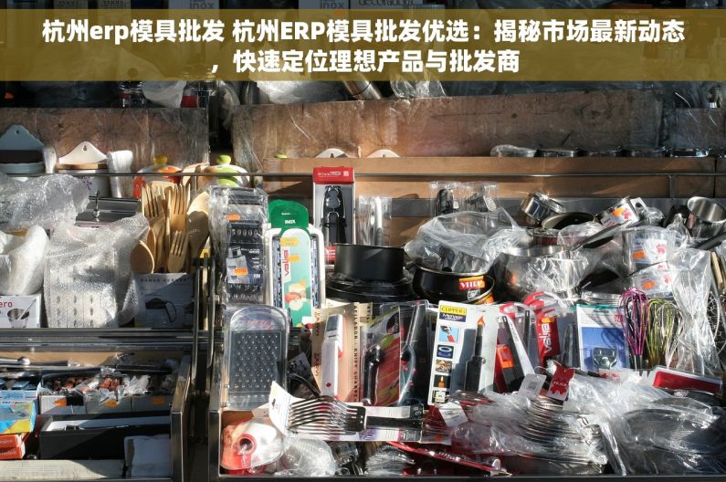 杭州erp模具批发 杭州ERP模具批发优选：揭秘市场最新动态，快速定位理想产品与批发商