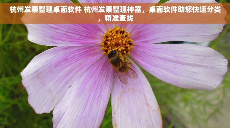 杭州发票整理桌面软件 杭州发票整理神器，桌面软件助您快速分类，精准查找