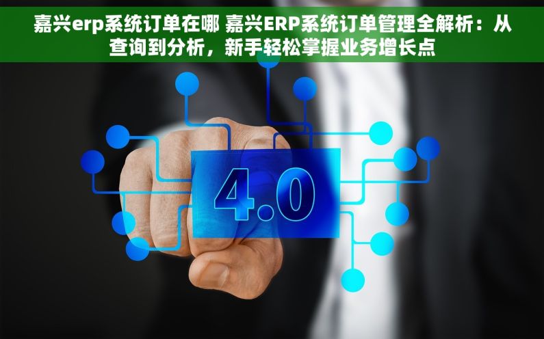 嘉兴erp系统订单在哪 嘉兴ERP系统订单管理全解析：从查询到分析，新手轻松掌握业务增长点