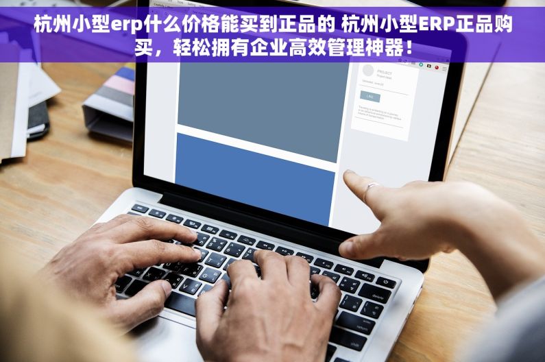 杭州小型erp什么价格能买到正品的 杭州小型ERP正品购买，轻松拥有企业高效管理神器！